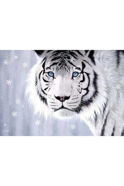 Anatolian Anatolian Puzzle - Jon Rattenbury: Crystal Eyes, 500 pieces