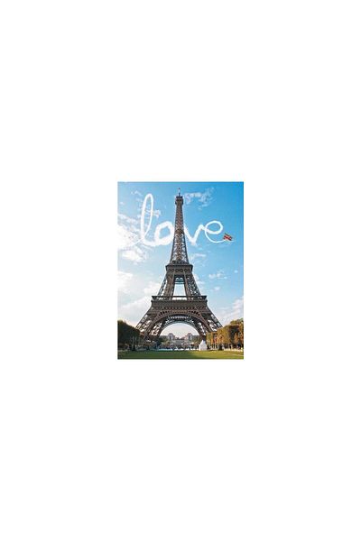 Gold Puzzle Puzzle Gold Puzzle - Love at Paris, 1000 piese