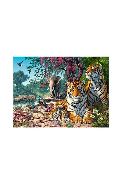 Castorland Puzzle 3000 pieces Castorland - The Tiger Sanctuary