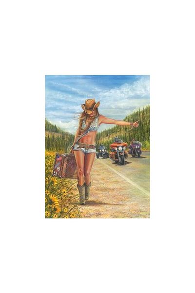 Anatolian Puzzle 1000 pieces - American Gypsy