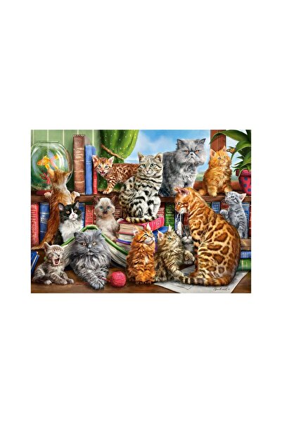 Castorland Παζλ - Οίκος των Γατών, 2000 κομμάτια