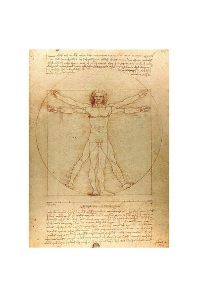 Enjoy Puzzle 1000 pieces Enjoy - Leonardo Da Vinci: The Vitruvian Man