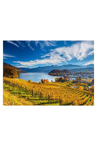 Schmidt Schmidt Puzzle - Vineyards, 2000 pieces