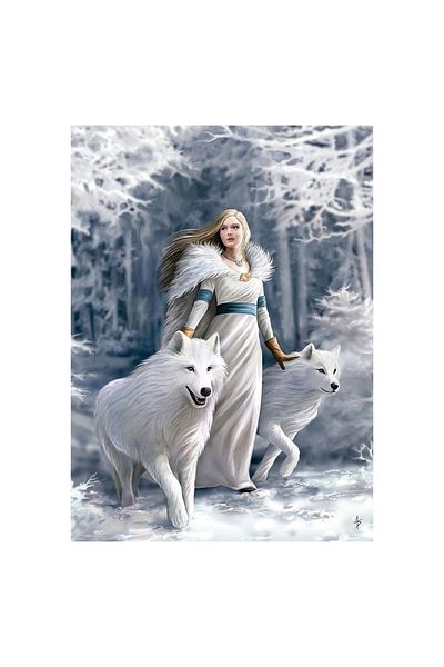 CLEMENTONI Puzzle Clementoni - Anne Stokes: Guardians of Winter, 1000 pieces