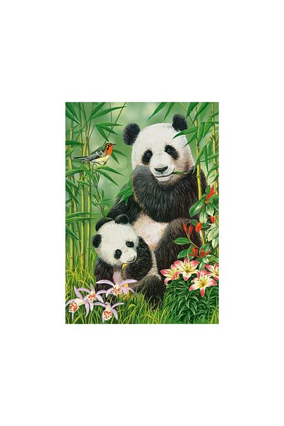 Castorland Puzzle 1000 pieces Castorland - Panda Brunch