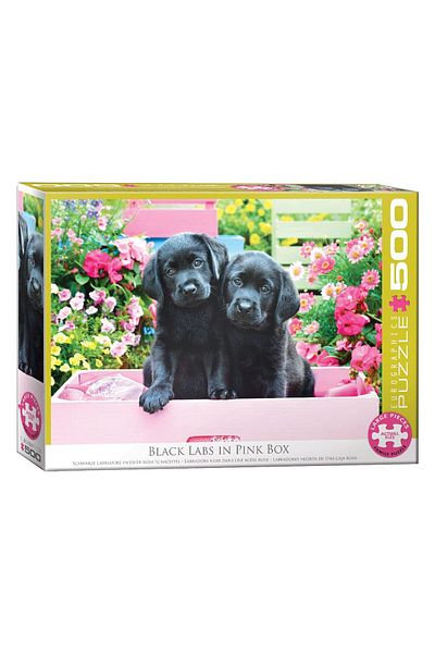 Eurographics Puzzle 500 pieces XXL - Black Labs in Pink Box