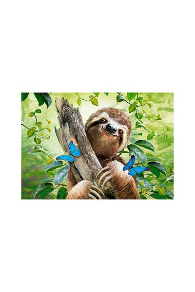 Castorland Puzzle Castorland - Don't Hurry Be Happy, 500 pieces