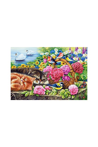Castorland Puzzle 1000 pieces Castorland - Lazy Sunday
