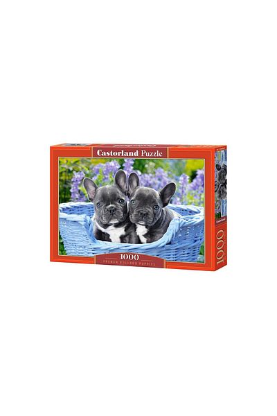 Castorland Puzzle Castorland - French Bulldog Puppies, 1000 pieces