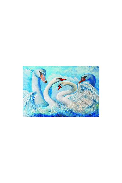 Gold Puzzle Puzzle Gold Puzzle - Swans, 1000 piese