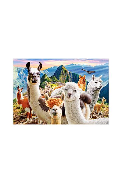 Castorland Puzzle 1000 pieces Castorland - Llamas Selfie
