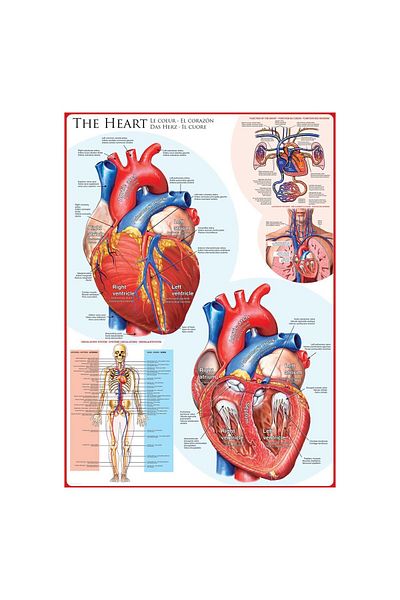 Eurographics Puzzle Eurographics - The Heart, 1000 pieces