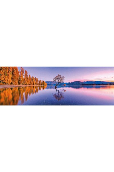 CLEMENTONI Puzzle 1000 piese panoramic Clementoni - Lake Wanaka Tree