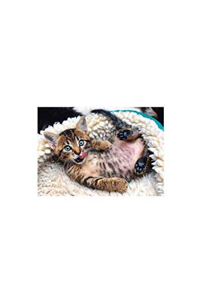 Trefl Puzzle - Cheerful Kitten, 1000 piese