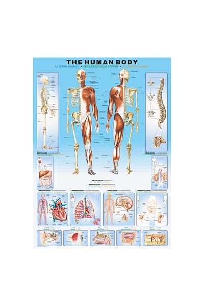 Eurographics Puzzle Eurographics - Human body, 1000 pieces