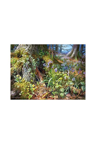 Castorland Puzzle Castorland - From Rusland Woods, 2000 pieces