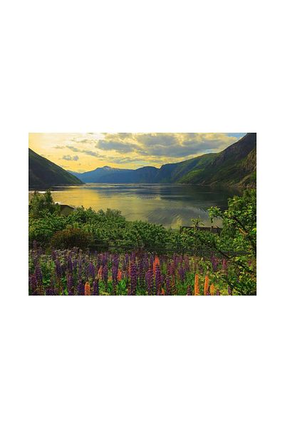 RAVENSBURGER Puzzle 1000 pieces - Fjord Norway