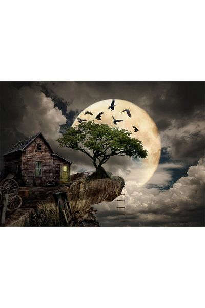 Enjoy Puzzle 1000 piese Enjoy - A Log Cabin on a Cliff