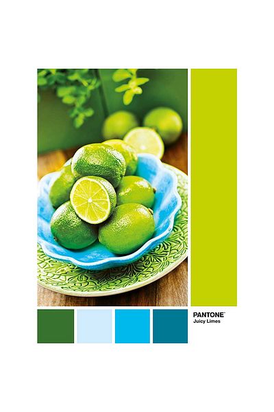 CLEMENTONI Clementoni Puzzle - Pantone - Juicy Limes, 1000 pieces