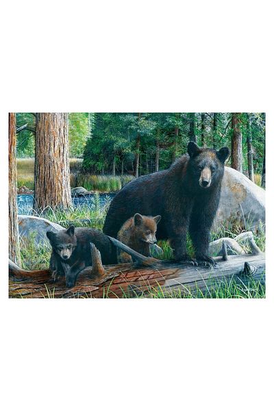 Eurographics Puzzle Eurographics - New Discoveries, 1000 pieces