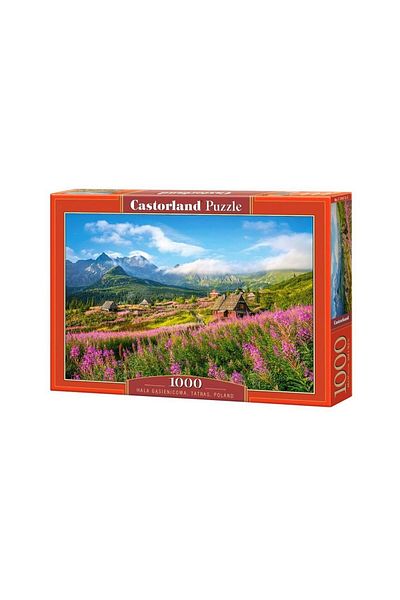 Castorland Castorland Puzzle - Tatras, Poland, 1000 pieces