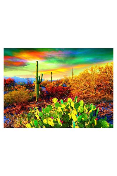 Eurographics Puzzle Eurographics - Desert Dreams, 1000 pieces