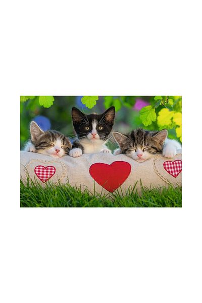RAVENSBURGER Puzzle Ravensburger - Cats, 2x24 pieces