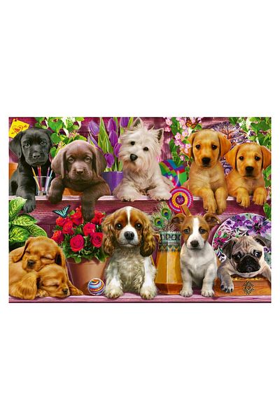 Schmidt Schmidt Puzzle - Dogs on the Shelf, 500 pieces