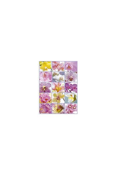 EDUCA Puzzle Educa - Flower Collage, 1500 pieces
