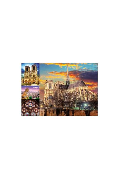 EDUCA Puzzle - Collage - Notre Dame de Paris, 1000 piese