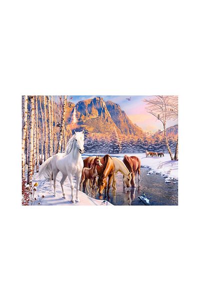 Castorland Puzzle 500 pieces Castorland - Winter Melt