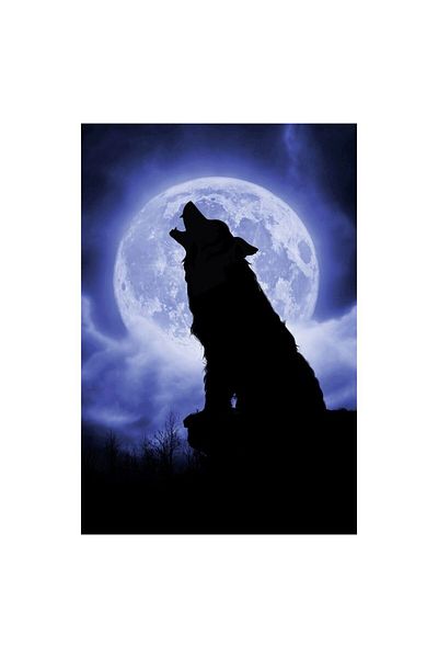 Schmidt Schmidt Puzzle - Julie Fain: Full Moon Night, 500 pieces
