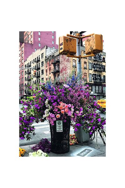 RAVENSBURGER Ravensburger Puzzle - Flowers In New York, 300 pieces XXL