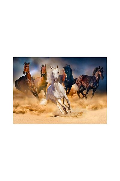 Enjoy Puzzle 1000 pieces Enjoy - Horses Running in the Desert