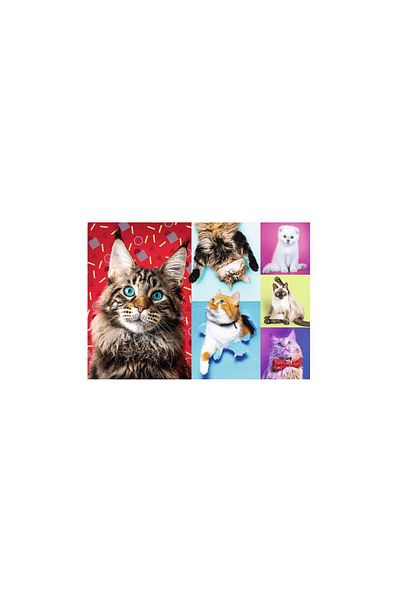 Trefl Puzzle Trefl - Happy Cats, 1000 pieces