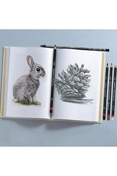 Derwent Graphic Dereceli Karakalem 12'li Set B 9h Arası Tonlar