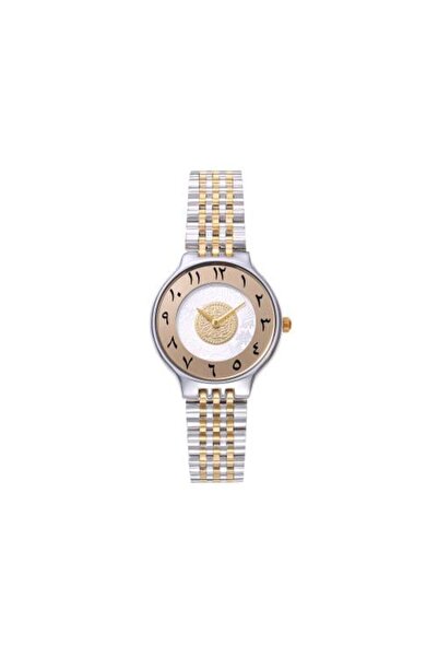 Louis Nice Elegant Women's Watch in Silver and Gold