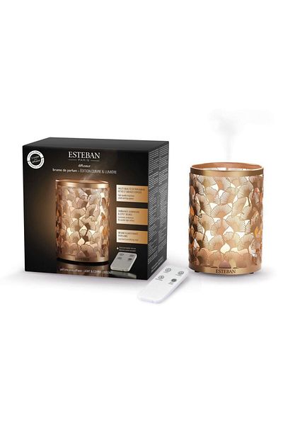 Esteban Paris Electric Light&copper Diffuser -