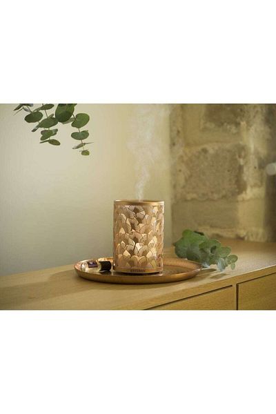 Esteban Paris Electric Light&copper Diffuser -