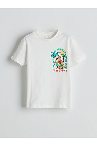 LC Waikiki Lcw Crew Neck Printed Boys T-Shirt Pack of 2