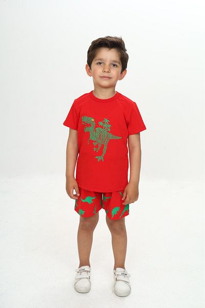 Toontoy Boy's Fluffy Dinosaur Printed Shorts Set