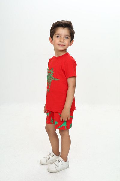 Toontoy Boy's Fluffy Dinosaur Printed Shorts Set