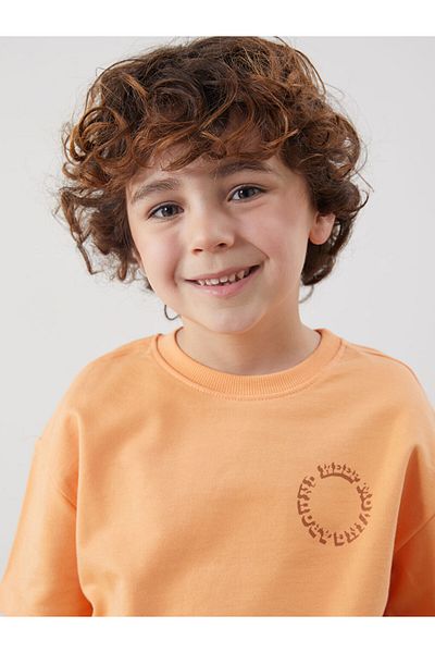 LC Waikiki Lcw Printed Boys' T-Shirt and Shorts 2-Piece