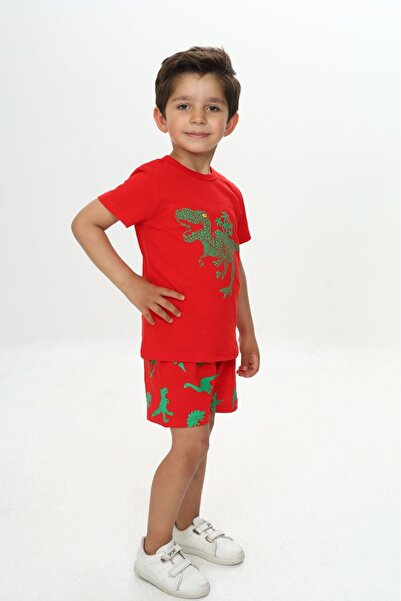 Toontoy Boy's Fluffy Dinosaur Printed Shorts Set