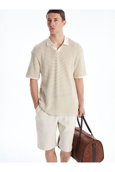 LC Waikiki Lcw Vision Polo Neck Striped Men's T-Shirt