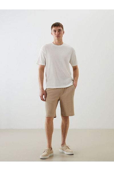 LC Waikiki LCW Vision Standard Fit Men's Shorts