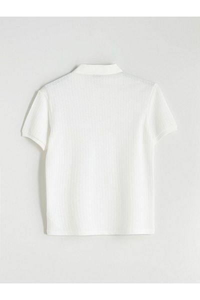 LC Waikiki Lcw Vision Polo Neck Men's T-Shirt