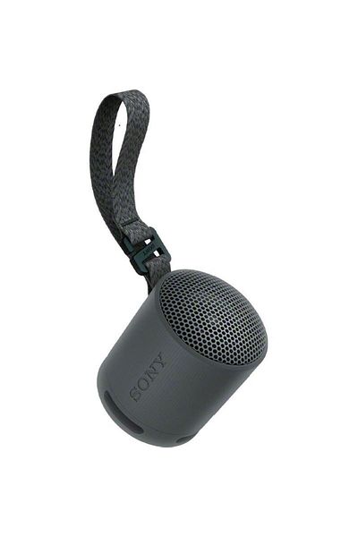 Sony SRS-XB100 Portable Speaker