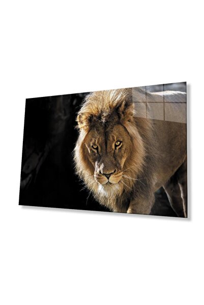 idealizbiz Sticlă Lion 4mm Sticlă Securizată Durabilă