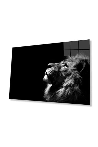 idealizbiz Sticlă Lion 4mm Sticlă Securizată Durabilă